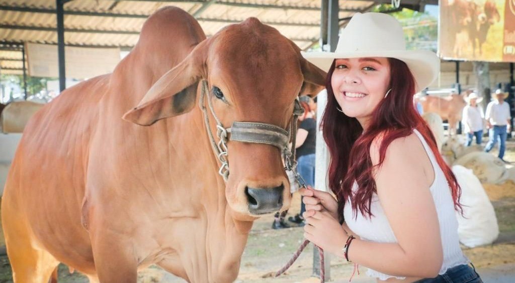 Esta es la programación de la tradicional Feria Equina y Bovina en Ibagué