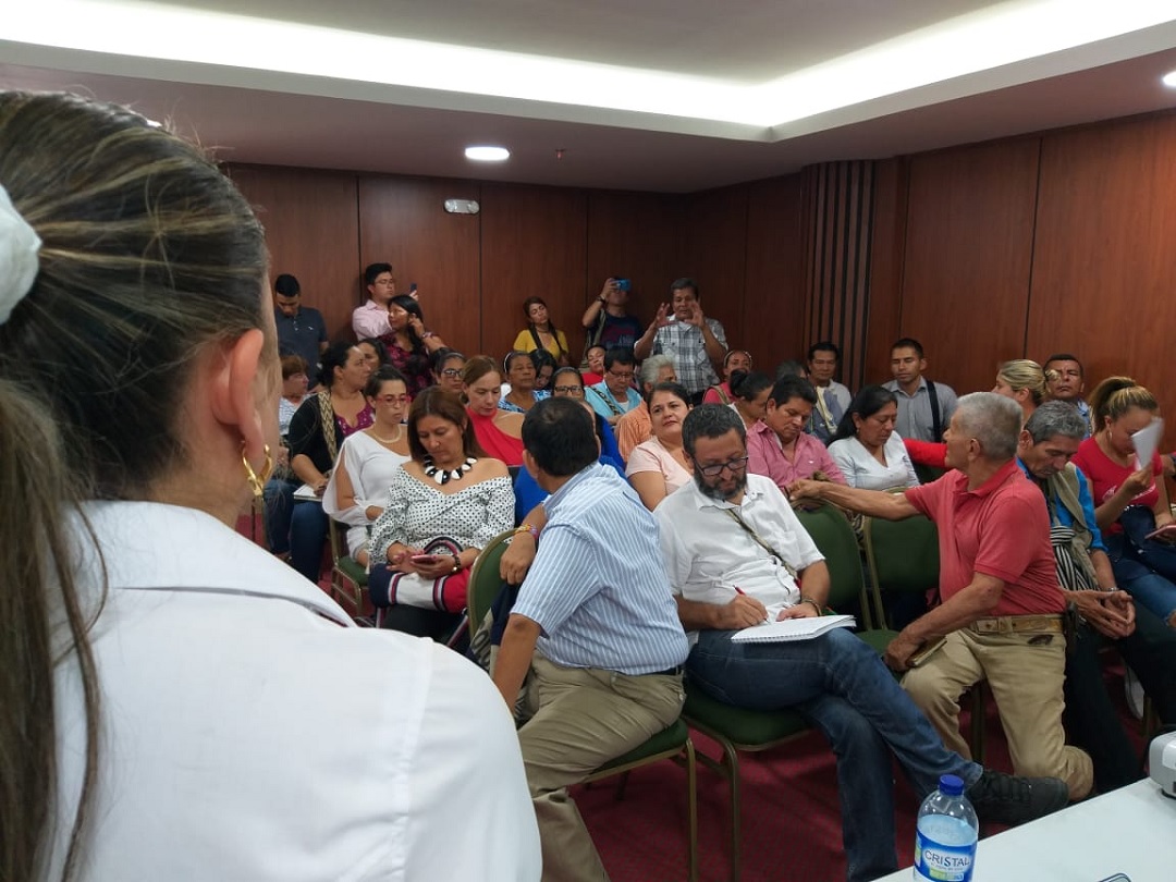 Indígenas, Ambientalistas y Pueblos Gitanos del Tolima participaron en la construcción del Plan de Desarrollo
