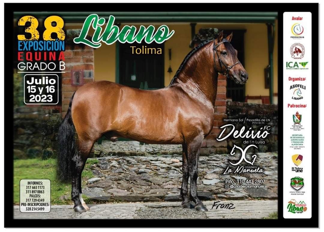 Prepárese para la 38 Feria de Exposición Equina en el Líbano, Tolima