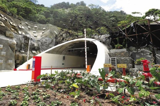 Más de 600 mil árboles se han sembrado en zona del Túnel de la Línea