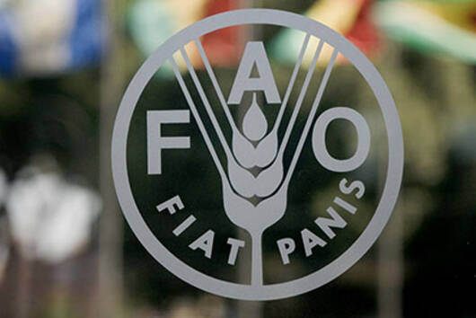El Informe de la FAO que causa revuelo en Colombia