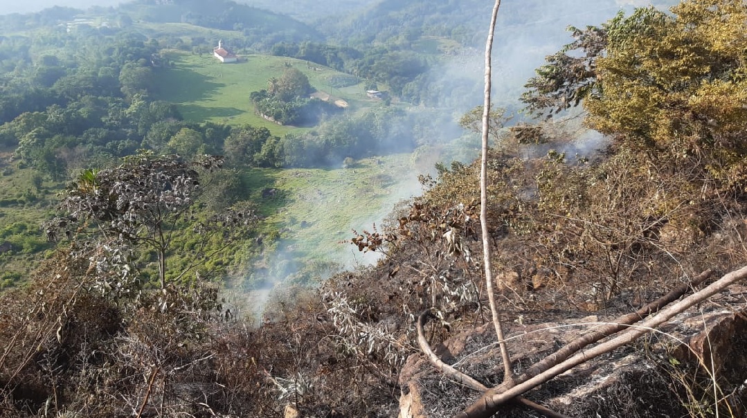 Incendios forestales en Murillo alertan a las autoridades