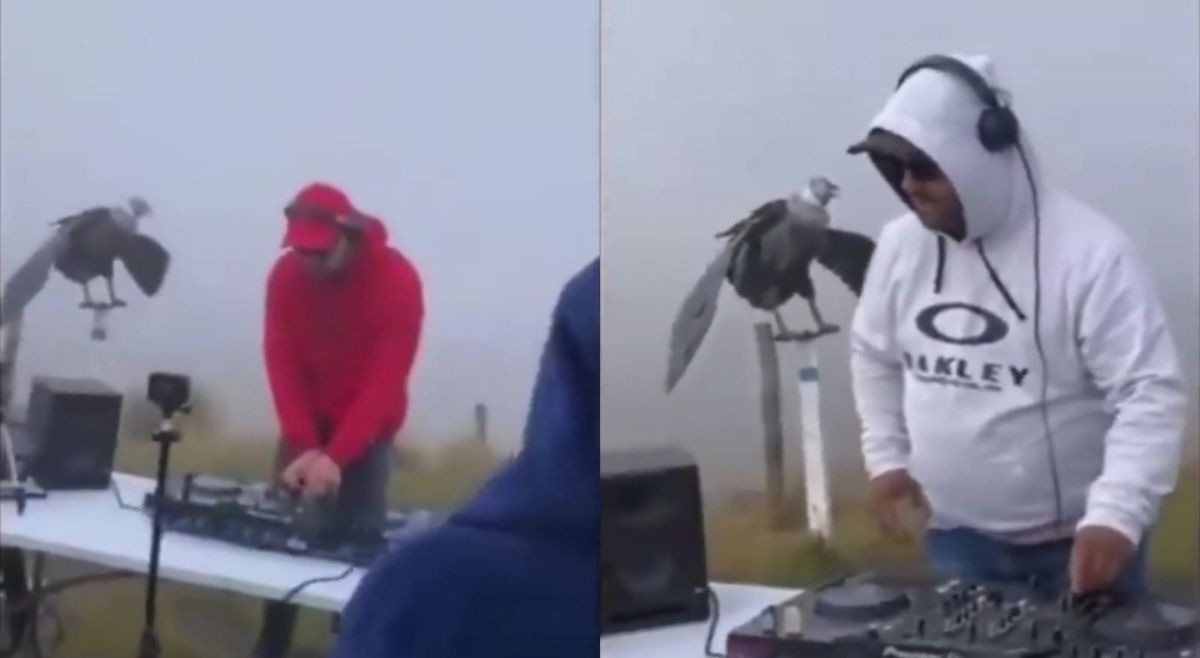 Repudio por fiesta realizada en inmediaciones del volcán nevado del Ruíz