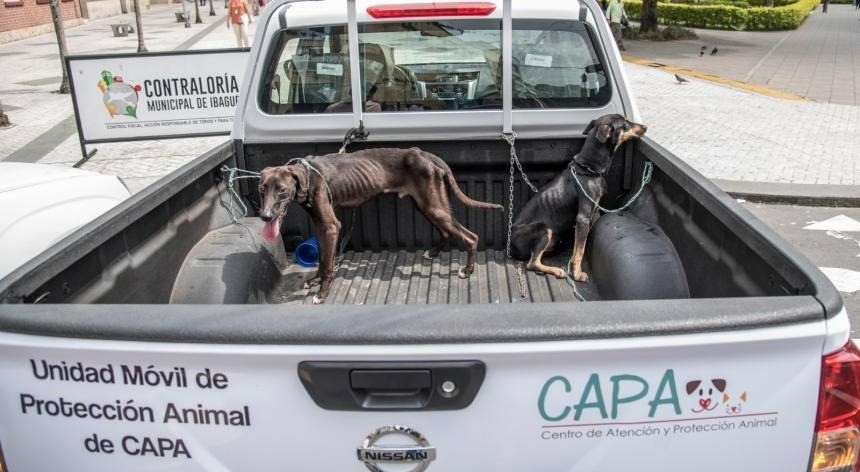 Fiscalía se tomó el CAPA por presuntos casos de maltrato animal