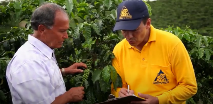 Con tecnología geoespacial sector cafetero mitiga el impacto de plaga y enfermedades en cultivos de café
