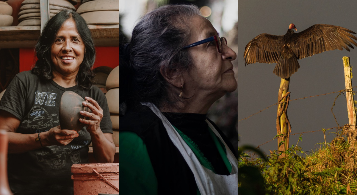 Conozca a los finalistas de la segunda versión del concurso de fotografía “FOTAZO”