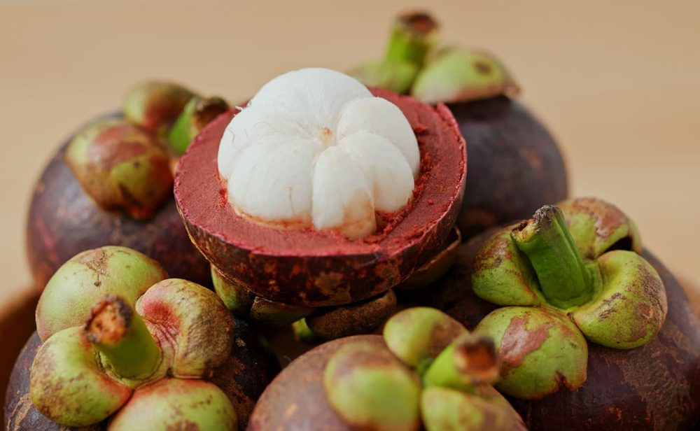 Gobernación del Tolima y alcaldía de Mariquita buscan denominación de origen del mangostino