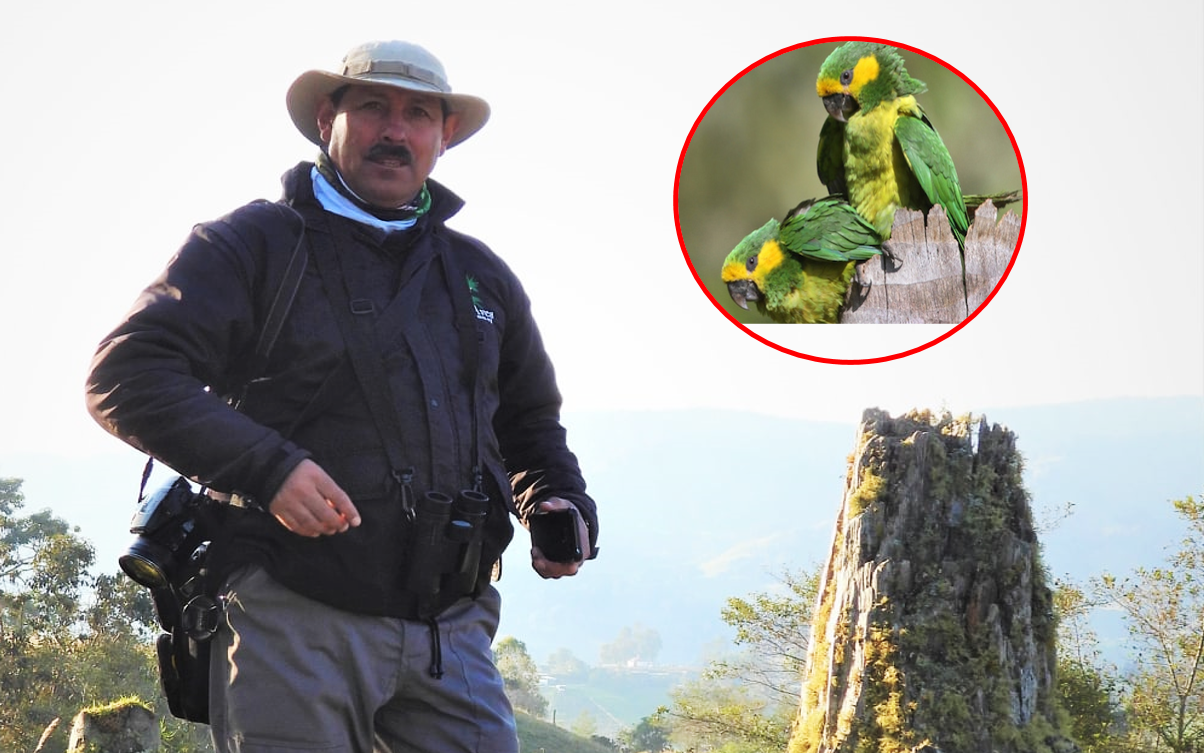 Asesinan al guardián del Loro Orejiamarillo