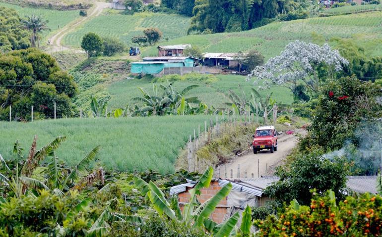 Gobierno inicia la titulación de predios rurales en el Tolima