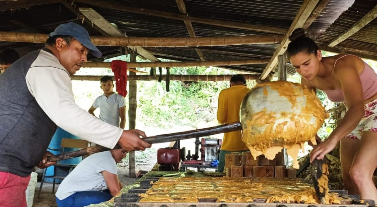 Haciendo Panela entre las montañas