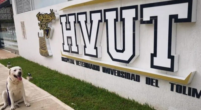 Hospital de la UT mantendrá vacunas gratis para las mascotas de Ibagué