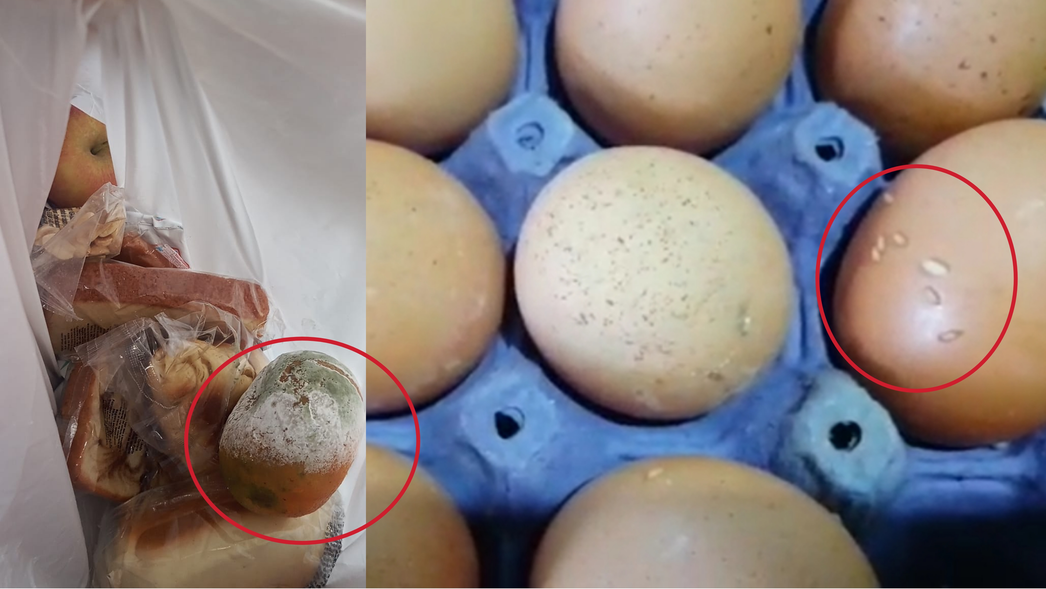 Huevos con gusanos y frutas podridas, la entrega del PAE en Ibagué