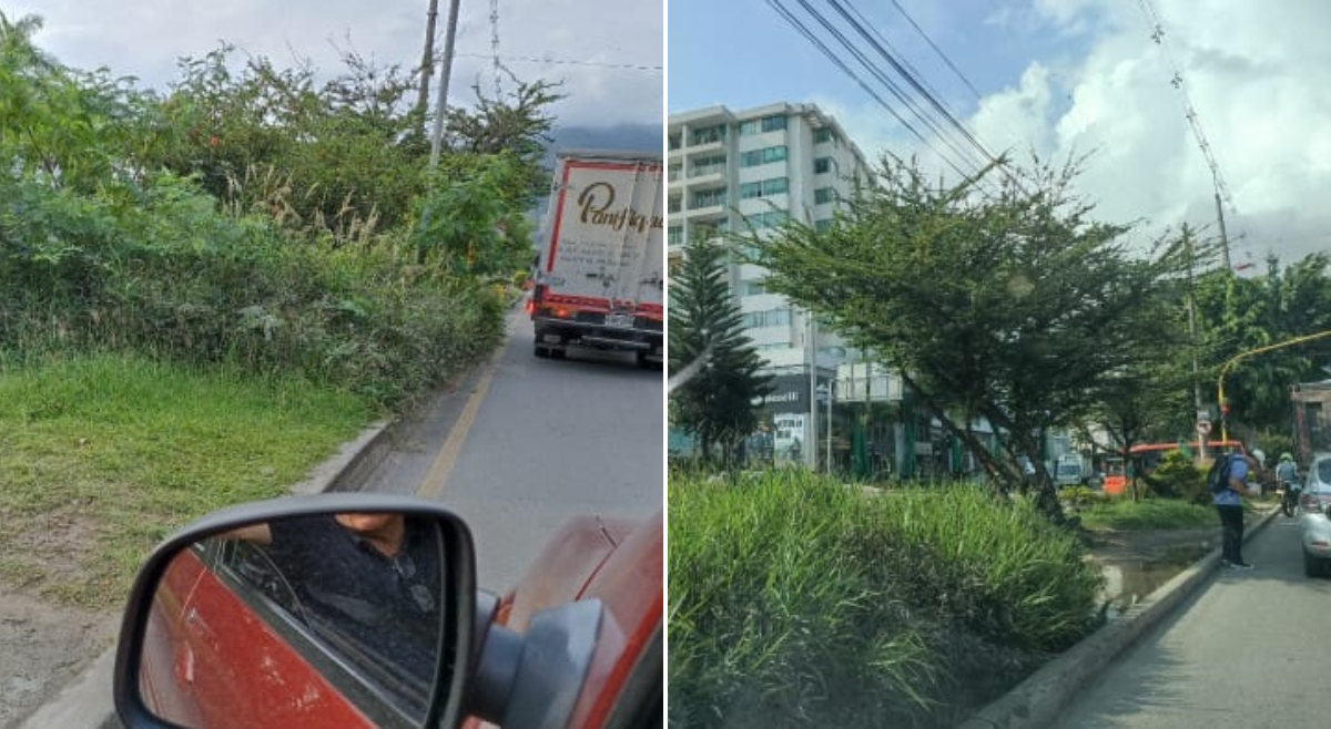 Infibagué y el desperdicio de plata en el ornato de la ciudad