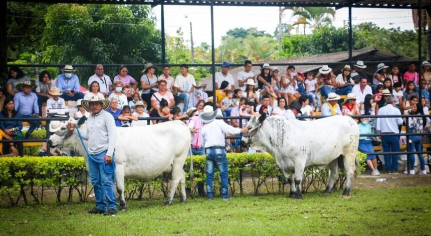 Ibagué hará Feria Bovina y Show Equino