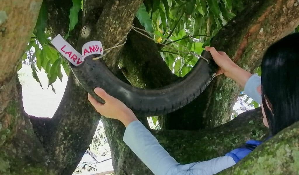 Ibagué lucha contra el dengue de cara a las festividades