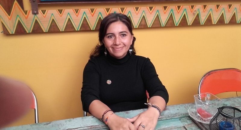 La política lejana de las armas: Farc