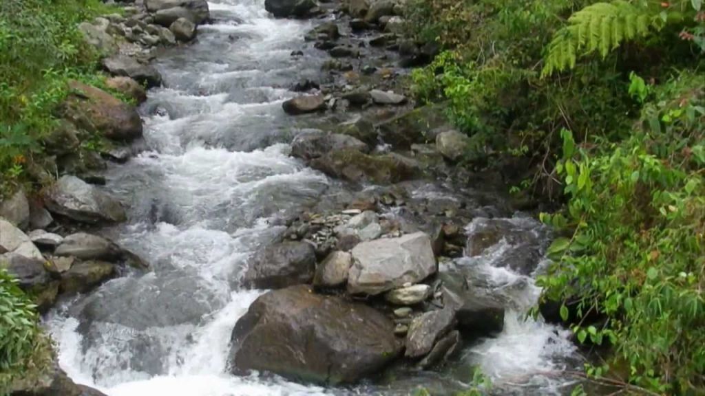 En Ibagué también se conmemora el Día Mundial del Agua