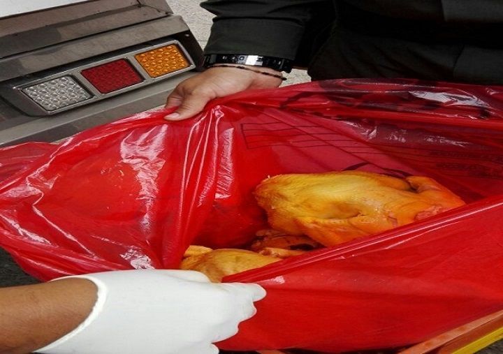 Realizan operativos para garantizar la cadena de frío de alimentos en Melgar