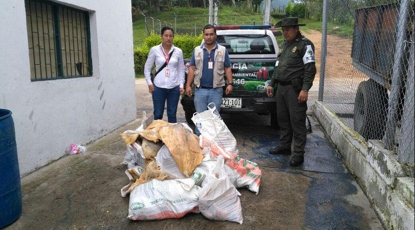 Autoridades encuentran 370 kilos de pescado descompuesto que iba a ser comercializado en Ibagué