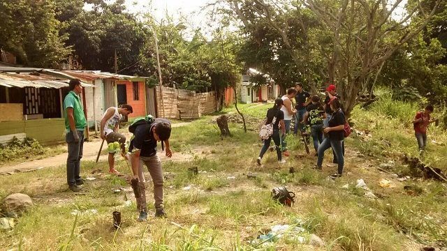 Se han sembrado más de 2.500 árboles en quebrada Hato de la Virgen de Ibagué