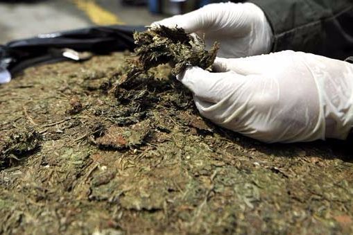 Incautaron 1430 gramos de droga durante operativos el pasado fin de semana