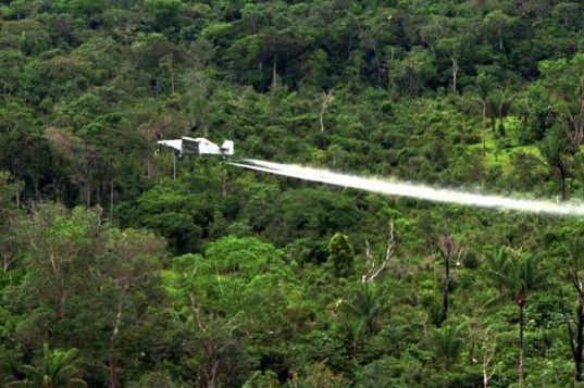 “Colombia no retomará fumigaciones aéreas con glifosato”: Minambiente