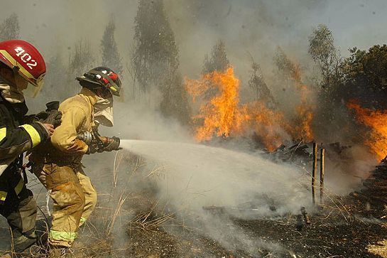 Incendios en el Tolima reaparecen