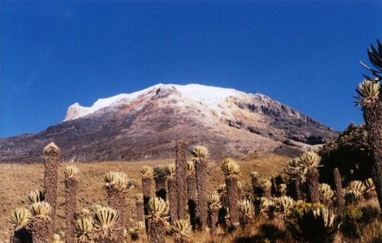 El patrimonio indígena lingüístico y etnográfico del tolima grande.