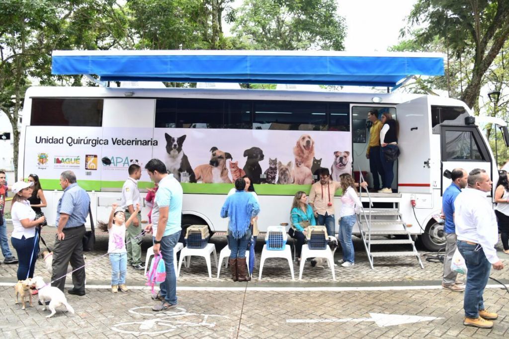 Hoy, jornada de esterilización animal en el barrio Las Delicias