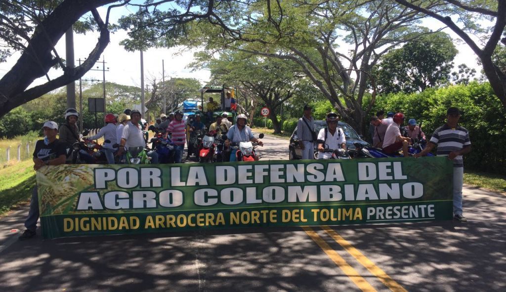 Arroceros del Tolima también entrarán en paro indefinido desde este martes