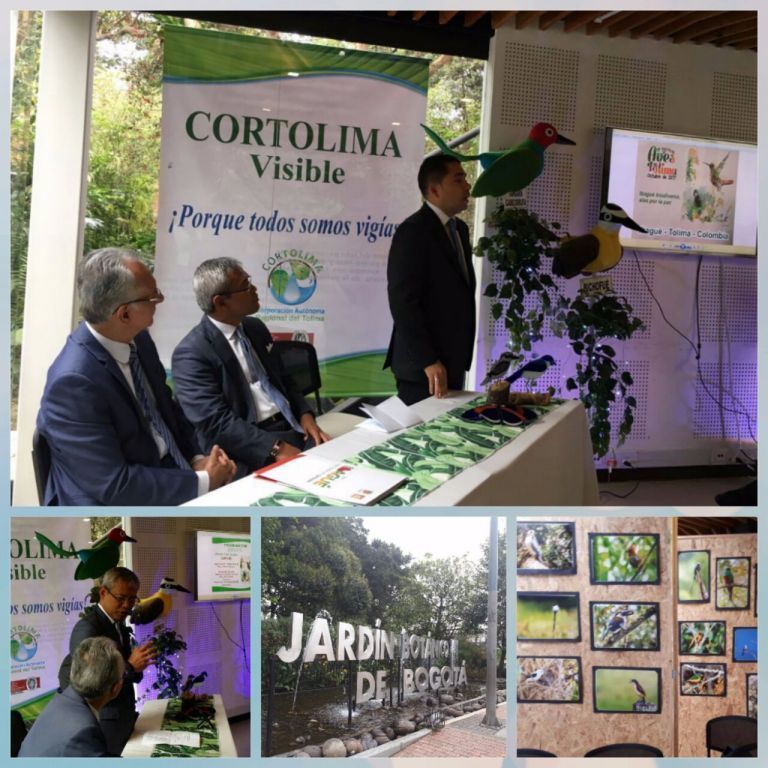 El Festival de Aves del Tolima alzó su vuelo en Bogotá