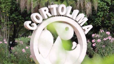 CORTOLIMA gana primer round al POT de Ibagué