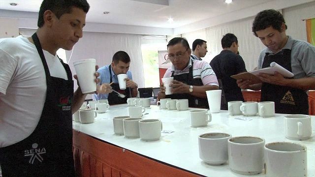 Avanza concurso Taza de la Excelencia de Café Tolima 2017