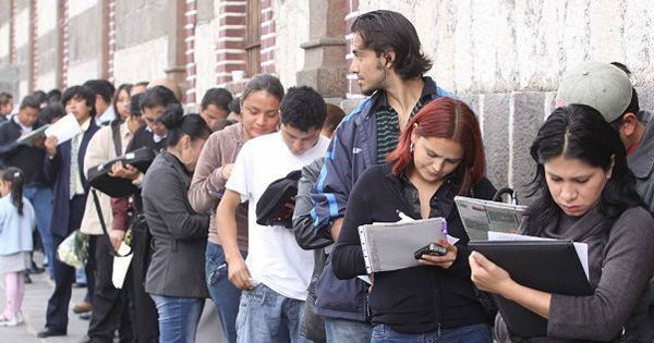 Ofertas de 445 empleos hace el Sena Tolima