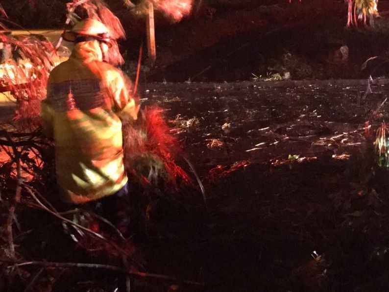 Por fuertes lluvias y violentos, organismos de socorro atendieron emergencias en 11 puntos de Ibagué