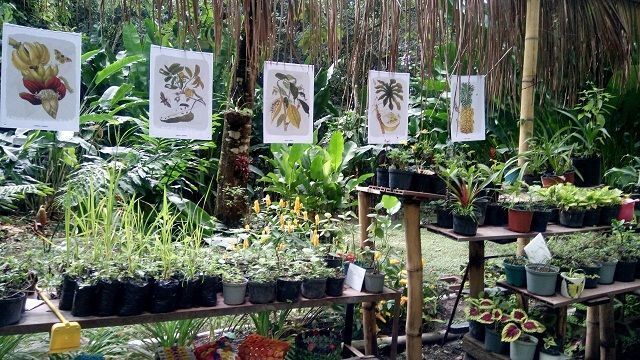 La Cámara de Comercio de Ibagué apoya el primer BioBlitz del Tolima