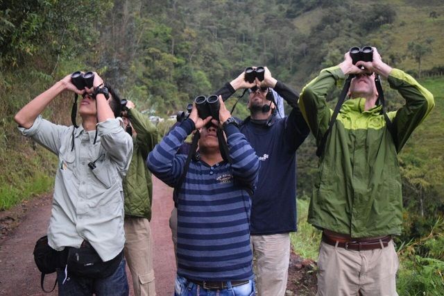 Toche, santuario aves y fauna para el mundo