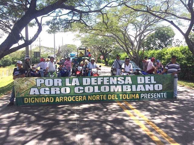 Movilización y paro de diversos sectores este jueves en el país, incluyendo a Ibagué