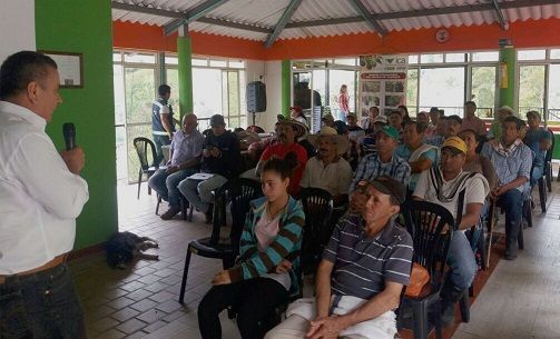 Aguacateros del Tolima capacitados en el “Plan Operativo de Trabajo” para exportar su producto a Estados Unidos