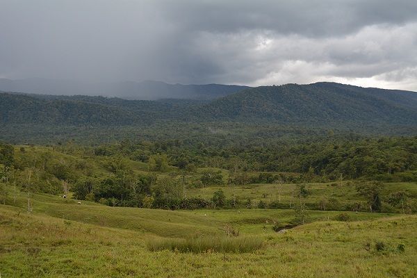 Mesa Ambiental Ciudadana sobre Conservación del “Bosque de Galilea”