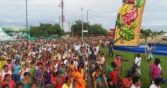 Indígenas del Tolima participan en minga nacional indefinida