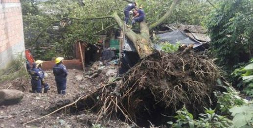Siguen emergencias en el Tolima por lluvias