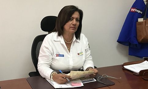 Abren proceso para sistematización y catastro de la red de alumbrado público