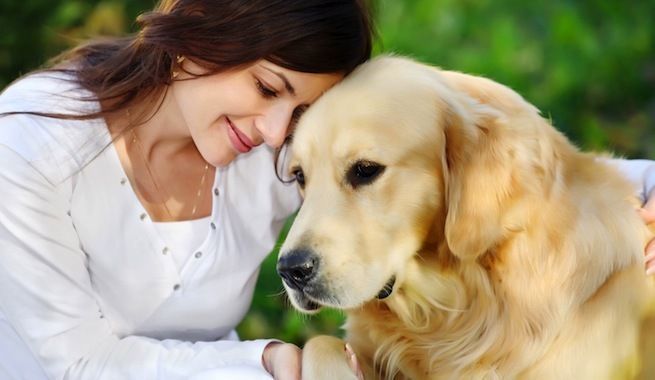 Las mascotas, la mejor cura para la depresión