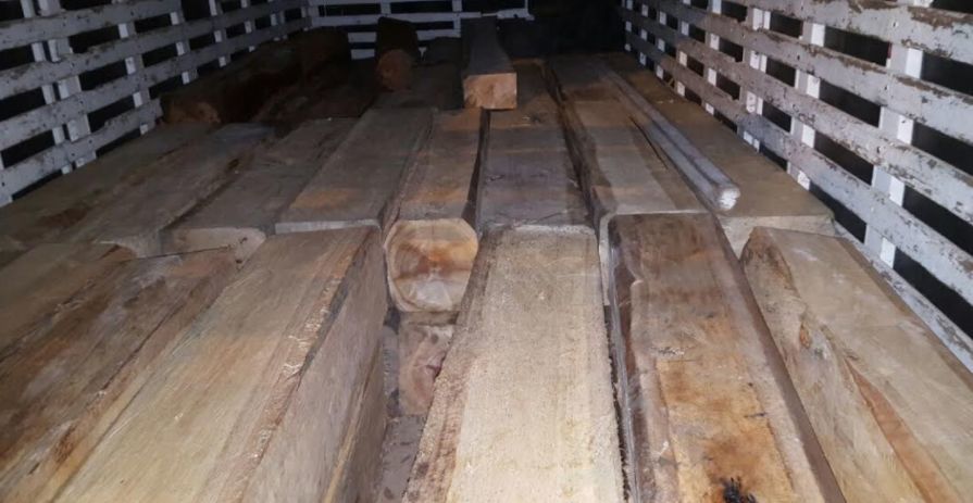 Nuevas restricciones para el manejo de madera en el Tolima