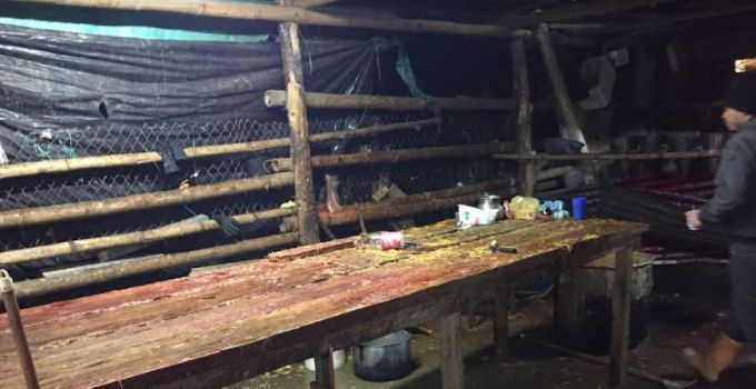 Ojo dónde compra el pollo para estas fechas