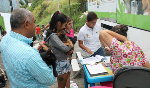 Más de 3.100 mascotas fueron esterilizadas en el 2017