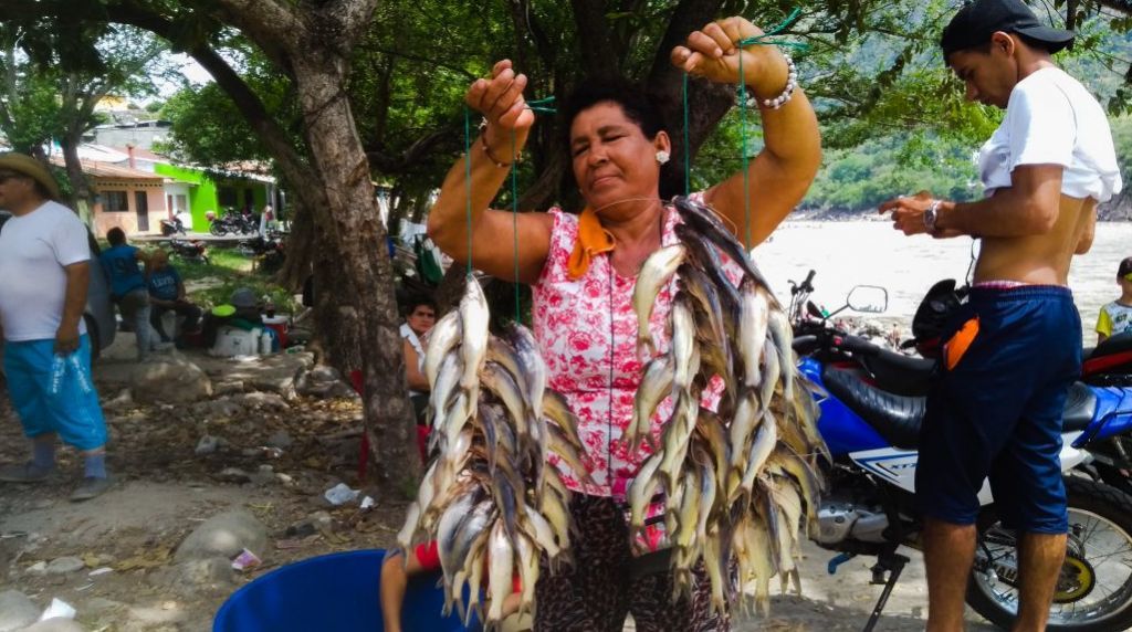 En la Subienda de Honda se pesca hasta con las manos