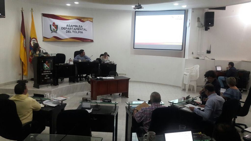En la cuerda floja 11 diputados del Tolima, por elegir Contralor de bolsillo