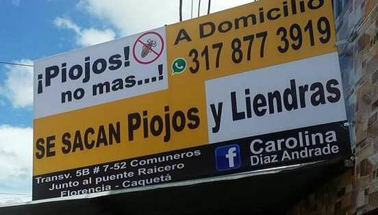 Se sacan piojos a domicilio